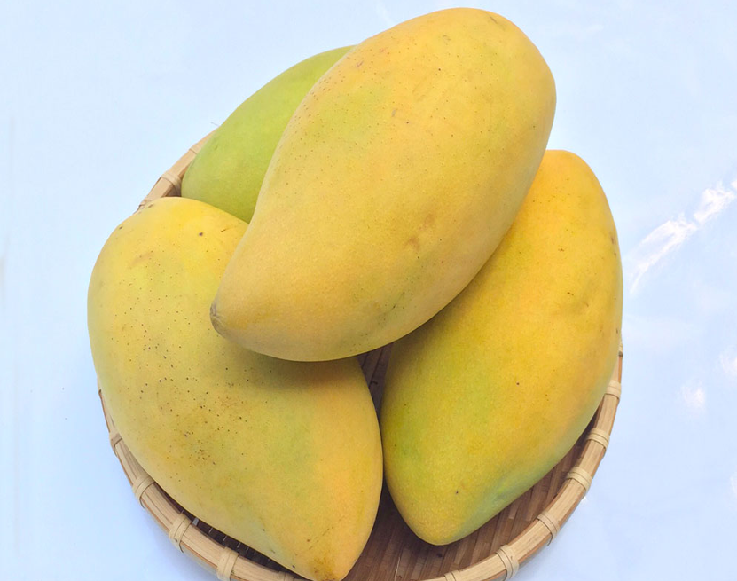Dong Thap Mango: A Harmony of Nature’s Gift and Cultivation Mastery