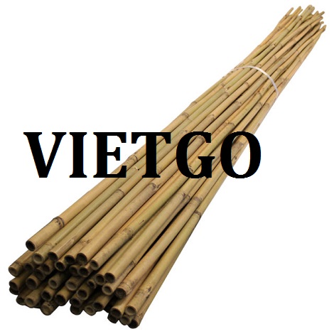 Gậy tre Vietgo