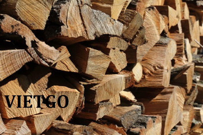 VIETGO-xuất khẩu củi đốt từ gỗ keo sang Isarel