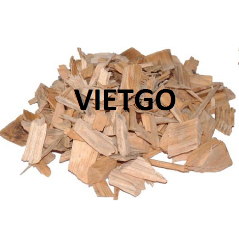 Gỗ bạch đàn vụn Vietgo