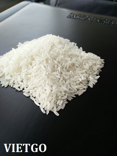 gạo việt nam