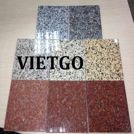 Granite-VIETGO190319