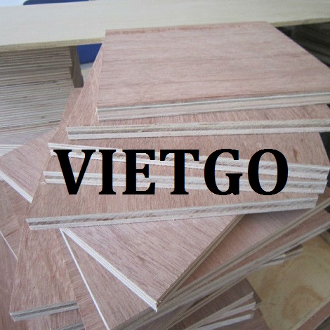 Gỗ dán mặt gỗ dầu Vietgo