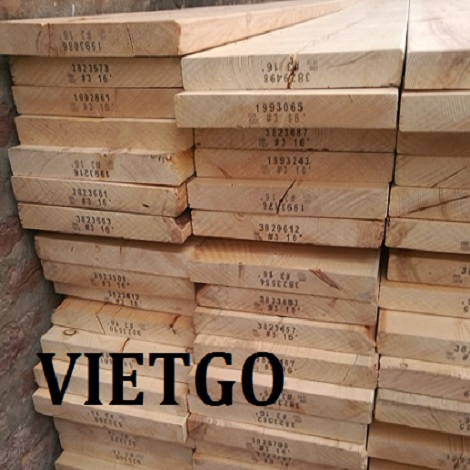 VIETGO-go thong xe-2907