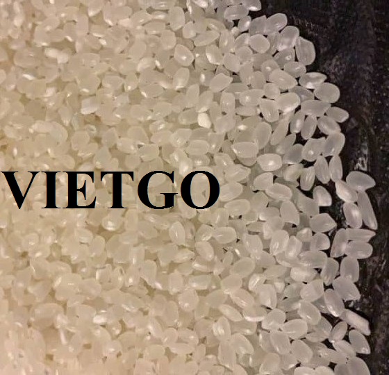 Gạo Vietgo