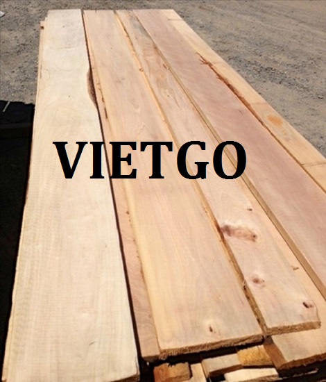 Gỗ bạch đàn, gỗ thông xẻ, củi đốt Vietgo