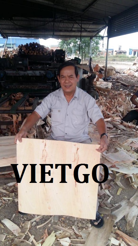 Ván bóc Vietgo