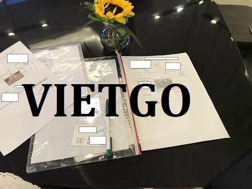 Gỗ Vietgo