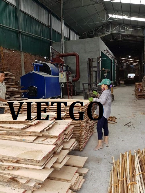 Gỗ Vietgo