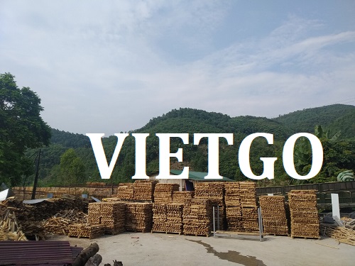 Gỗ Vietgo