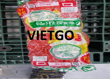 Găng Tay Vietgo