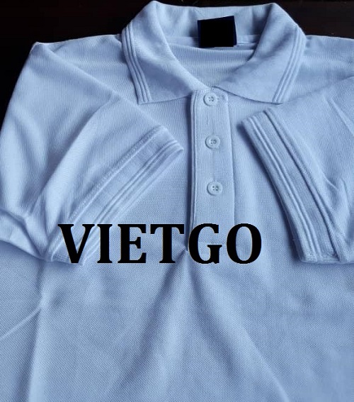 áo polo - VIETGO