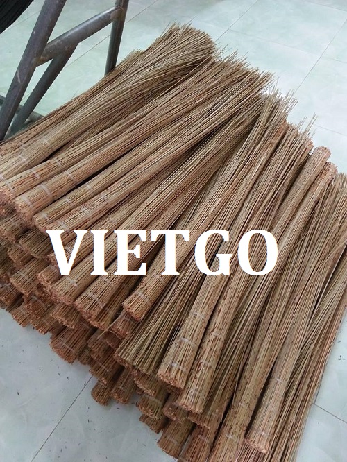 Chổi dừa - VIETGO