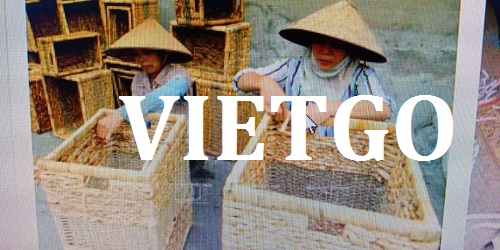 Cán chổi - VIETGO