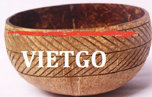 Sản phẩm từ dừa - VIETGO