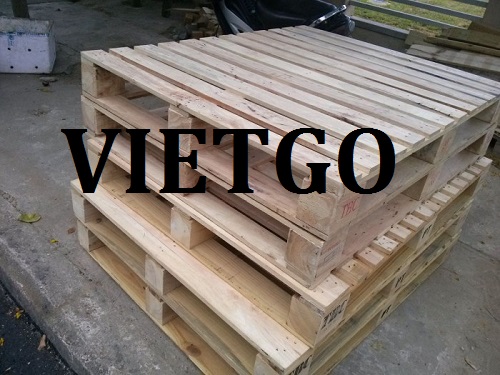Pallet gỗ thông - VIETGO