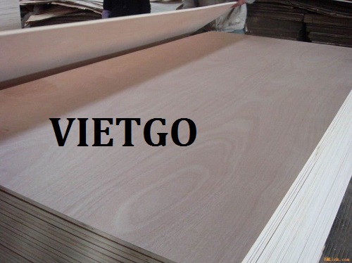 Cơ hội giao thương – Đơn hàng thường xuyên - Cơ hội xuất khẩu gỗ dán đến từ  vị khách hàng VIP của VIETGO