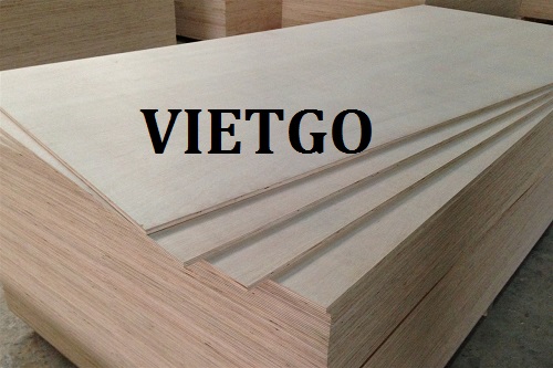 Cơ hội giao thương – Đơn hàng thường xuyên - Cơ hội xuất khẩu gỗ dán đến từ  vị khách hàng VIP của VIETGO