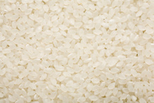 Công ty ở Iran cần mua gạo Jasmine 