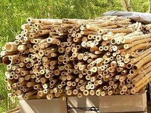 Công ty ở Hrvatska cần mua  gậy tre