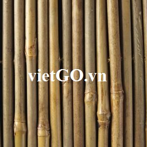 Cơ hội xuất khẩu gậy tre sang Pháp