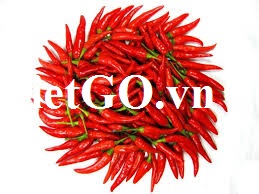 Nhà nhập khẩu Thỗ Nhĩ Kỳ cần mua ớt đỏ