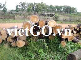 Cơ hội xuất khẩu gỗ teak tròn sang Bangladesh