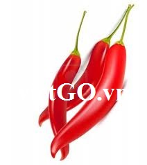 Nhà nhập khẩu Ấn Độ cần mua ớt tươi và ớt khô