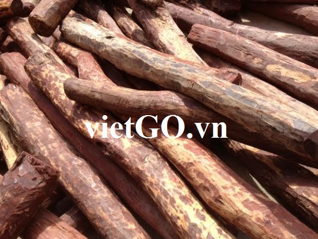 Nhà nhập khẩu Singapore cần mua gỗ teak