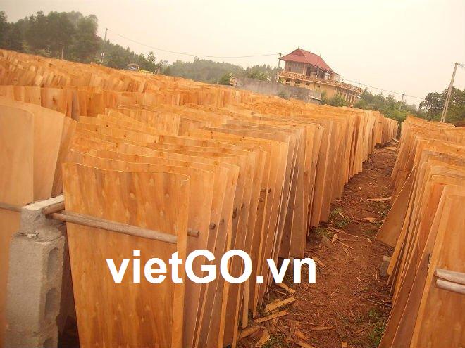 Nhà nhập khẩu Ai cập cần mua gỗ ván bóc