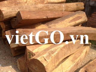 Nhà buôn Ấn Độ cần mua gỗ teak