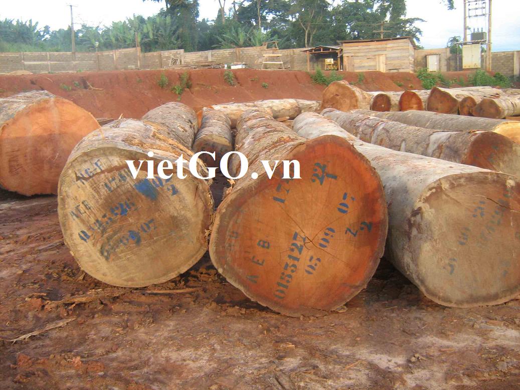 Nhà kinh doanh Ghana cần mua gỗ giáng hương