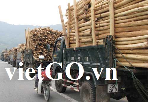 Cơ hội xuất khẩu gỗ keo tai tượng sang Indonesia