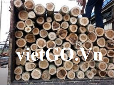 Cơ hội xuất khẩu gỗ keo tròn sang Bangladesh