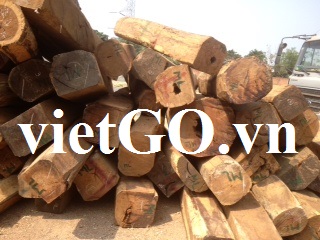 Nhà nhập khẩu Nam Phi cần mua gỗ teak