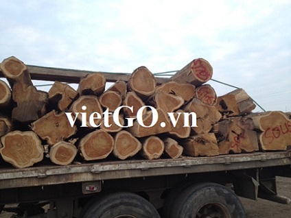 Nhà nhập khẩu Singapore cần mua gỗ teak tròn