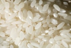 Nhà nhập khẩu Nam Phi cần mua gạo trắng hạt dài 5% tấm