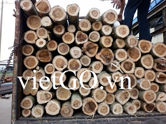 Doanh nghiệp Logistics Việt Nam cần mua gỗ keo tai tượng tròn