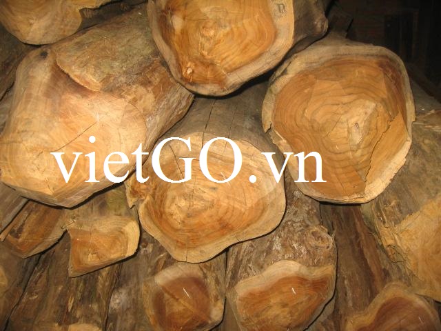 Nhà nhập khẩu Hàn Quốc cần mua gỗ teak