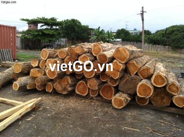 Nhà nhập khẩu  Ấn Độ cần mua gỗ teak tròn