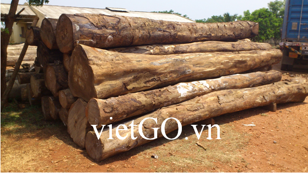 Cơ hội xuất khẩu gỗ các loại sang Bangladesh