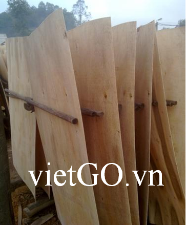 Cơ hội xuất khẩu ván bóc làm từ gỗ bạch đàn sang  Ai Cập
