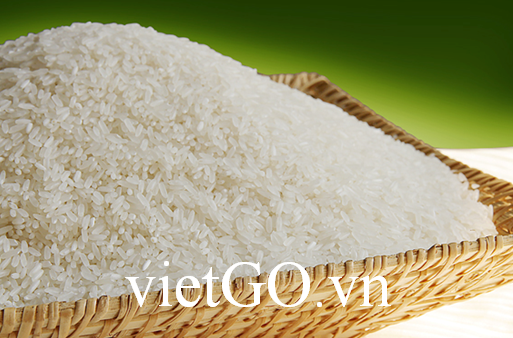Nhà nhập khẩu Trung Quốc cần mua gạo thơm hạt dài