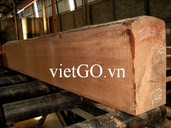 Nhà nhập khẩu Ấn Độ cần mua gỗ dầu xẻ và gỗ  Pyinkado xẻ