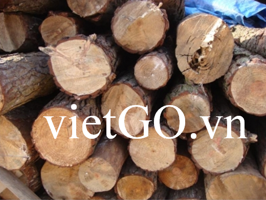Cơ hội xuất khẩu gỗ thông tròn sang Trung Quốc
