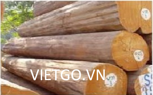 Nhà nhập khẩu Ấn Độ cần mua gỗ xẻ các loại
