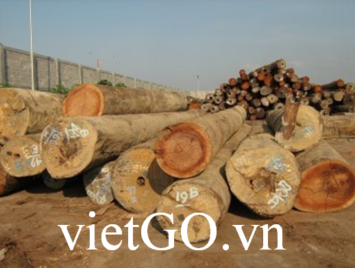 Cơ hội xuất khẩu gỗ dầu tròn sang Nepal