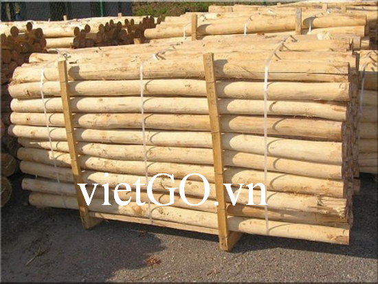 Đối tác Ấn Độ cần mua gỗ keo tròn cho xưởng sản xuất nội thất tại Trung Quốc 