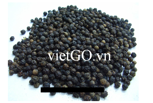 Nhà nhập khẩu Đài Loan cần mua hạt tiêu đen 550 GL
