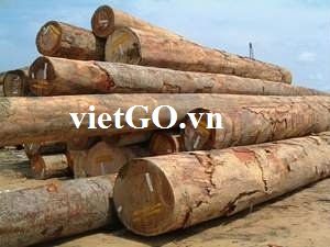 Nhà nhập khẩu Trung Quốc cần mua gỗ dầu tròn 